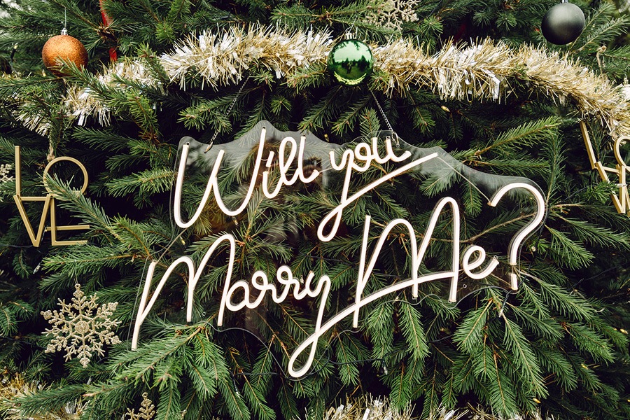 christmas tree farm