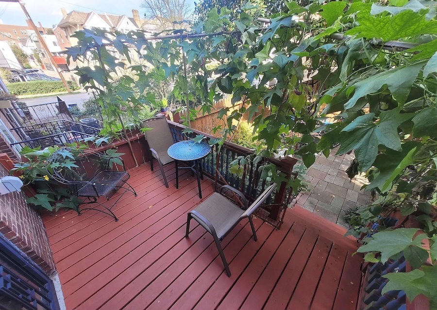 house for sale cedar park victorian townhouse rear deck