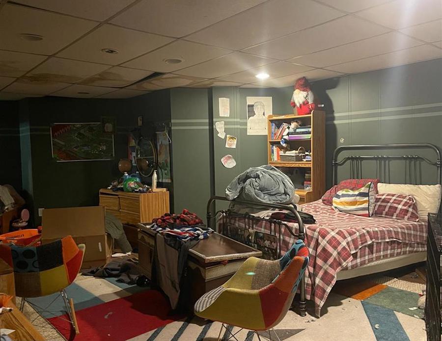ground-floor bedroom