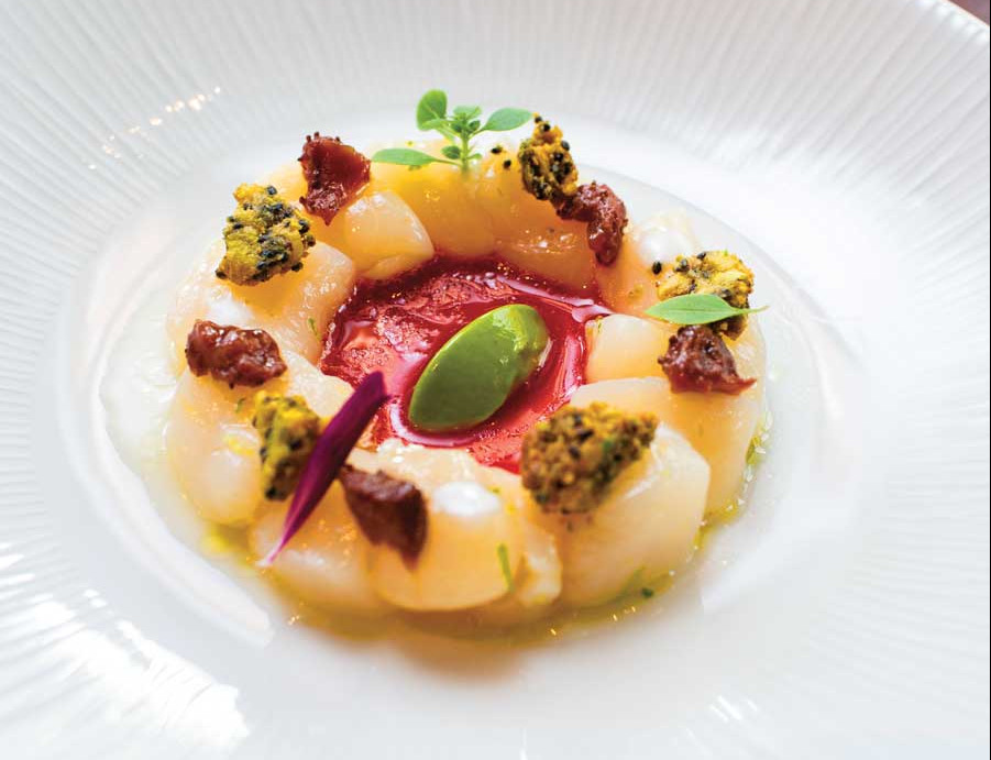 bardea scallops