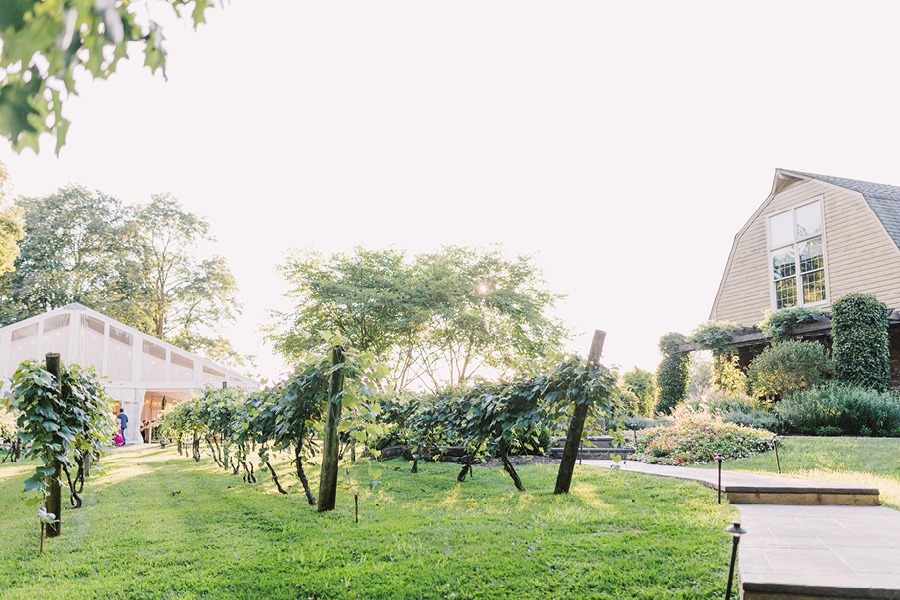 Philadelphia winery wedding venues