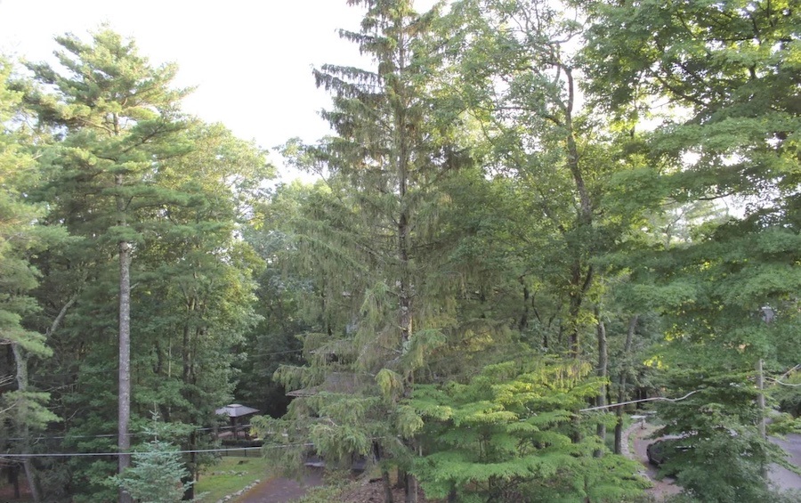 view from deck