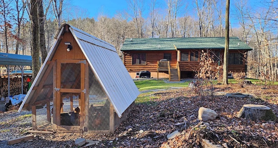chicken coop in backyard