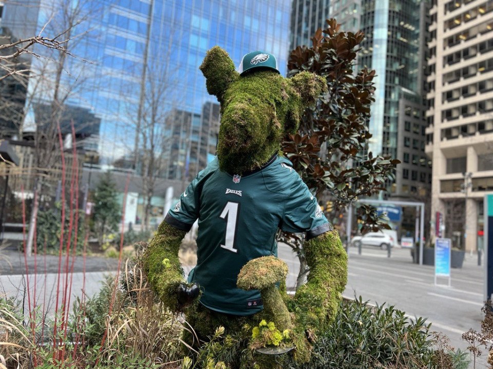 eagles playoffs philadelphia