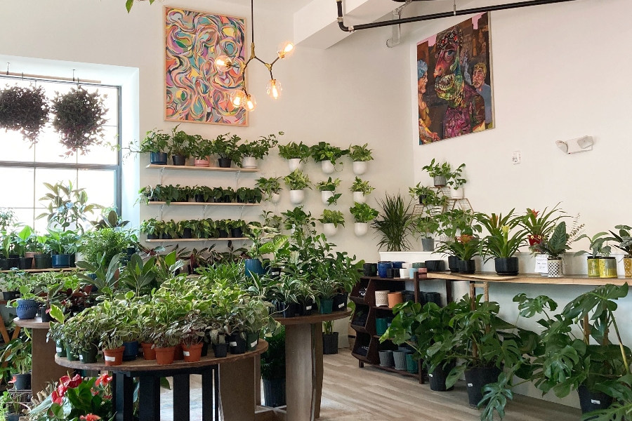 Philly-Area Plant Shops That'll Fill Your Home With Green