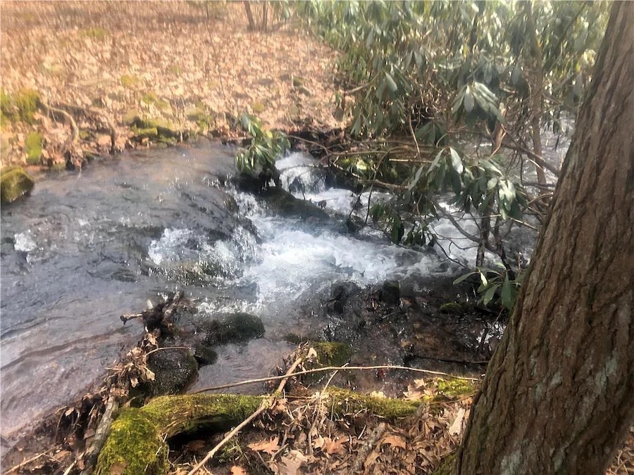 berry run