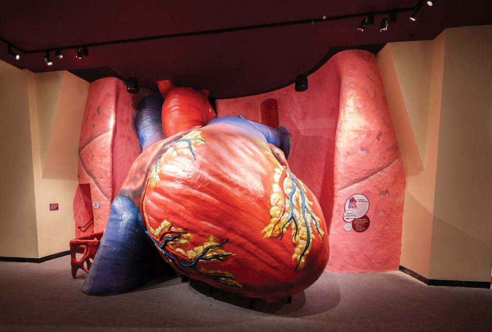 Franklin Institute heart