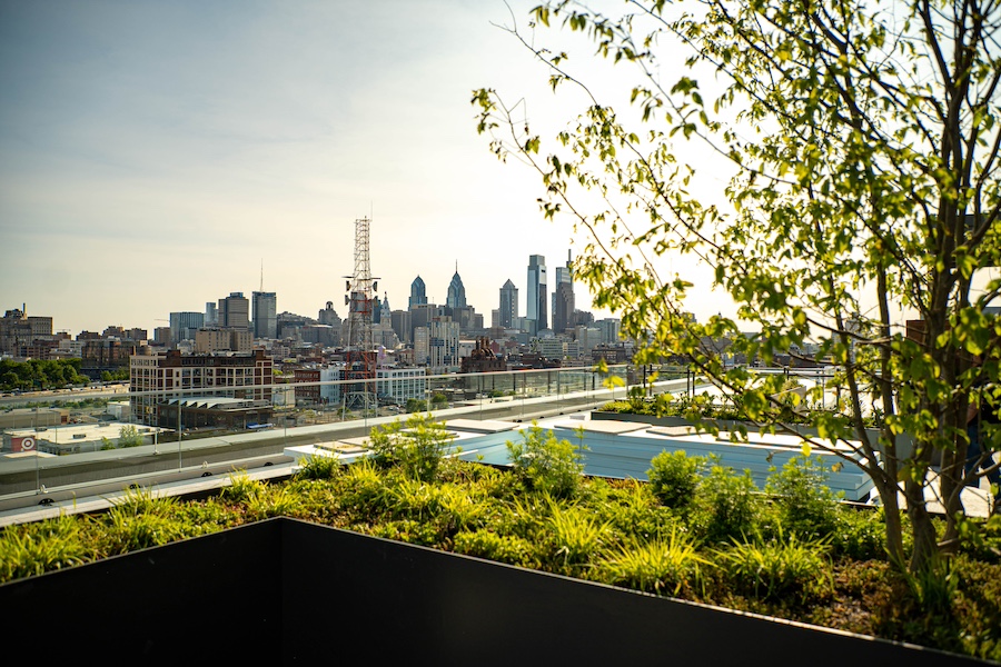 skyline view from east terrace