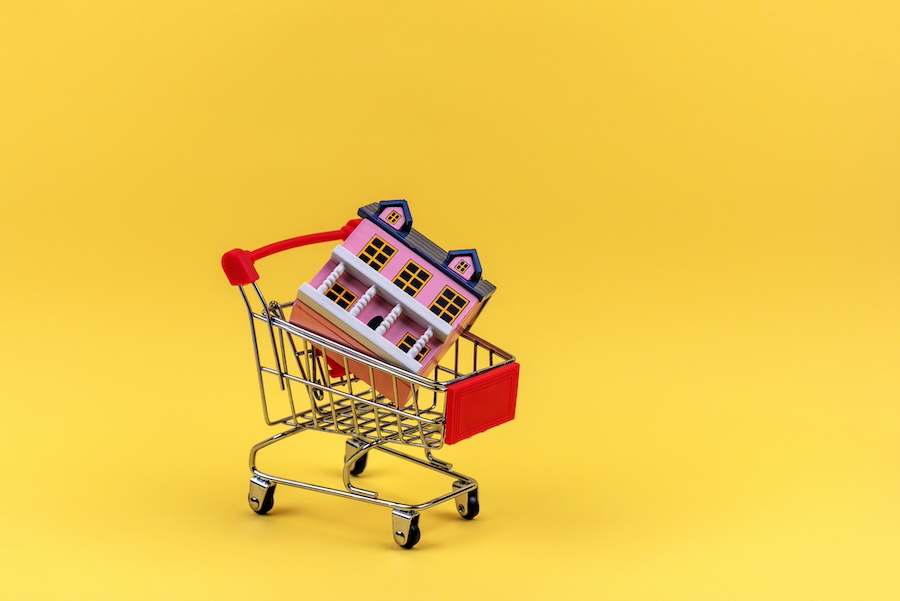 house in shopping cart