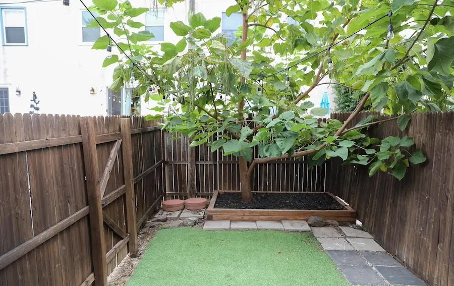 backyard