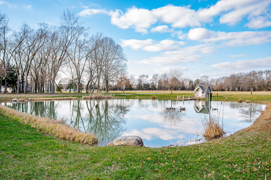 pond