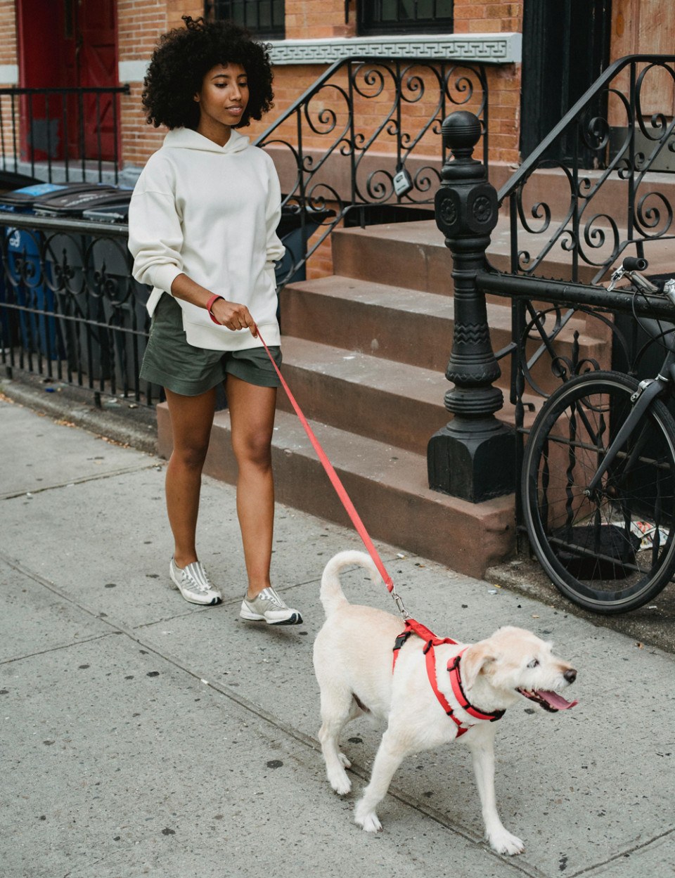 Pet adoption in Philly