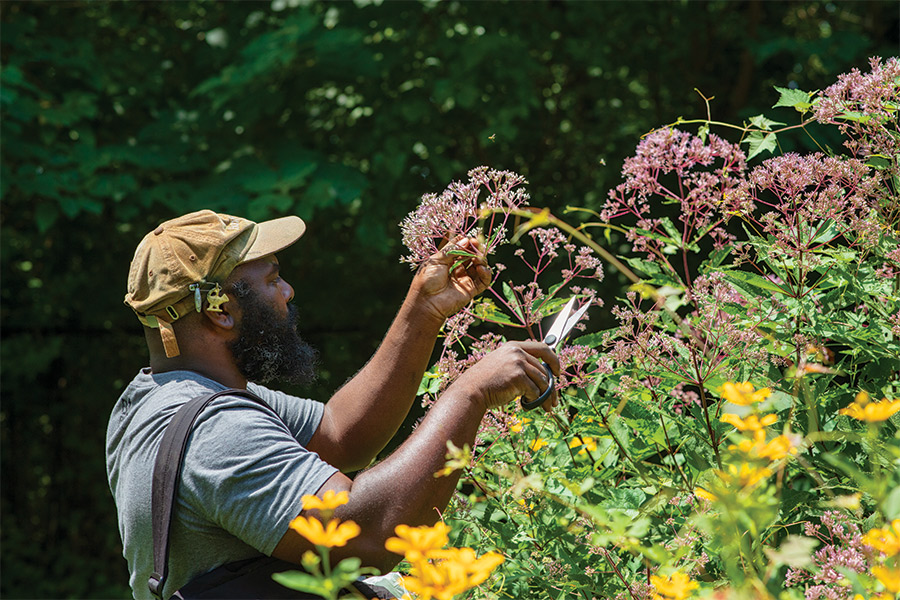 Meet the Foragers Changing the Way Philly Eats