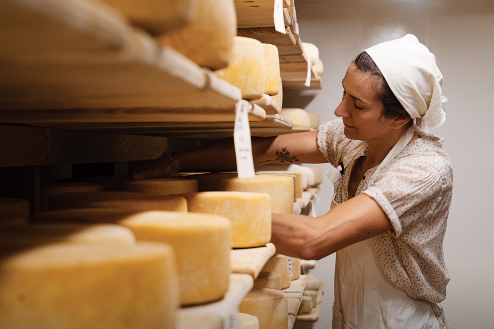 cheese cheesemaker creamery