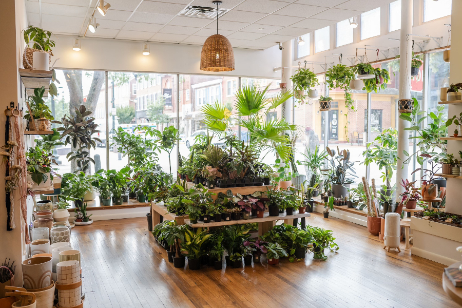 grow tower plants Hydroponic Growing Tower – A 10 Layers (80 Pots) Vertical Growing Free –  Avux Store