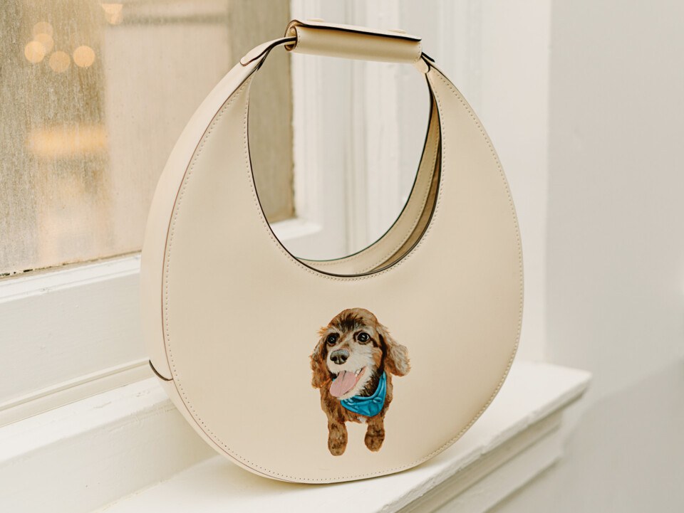 dog purse